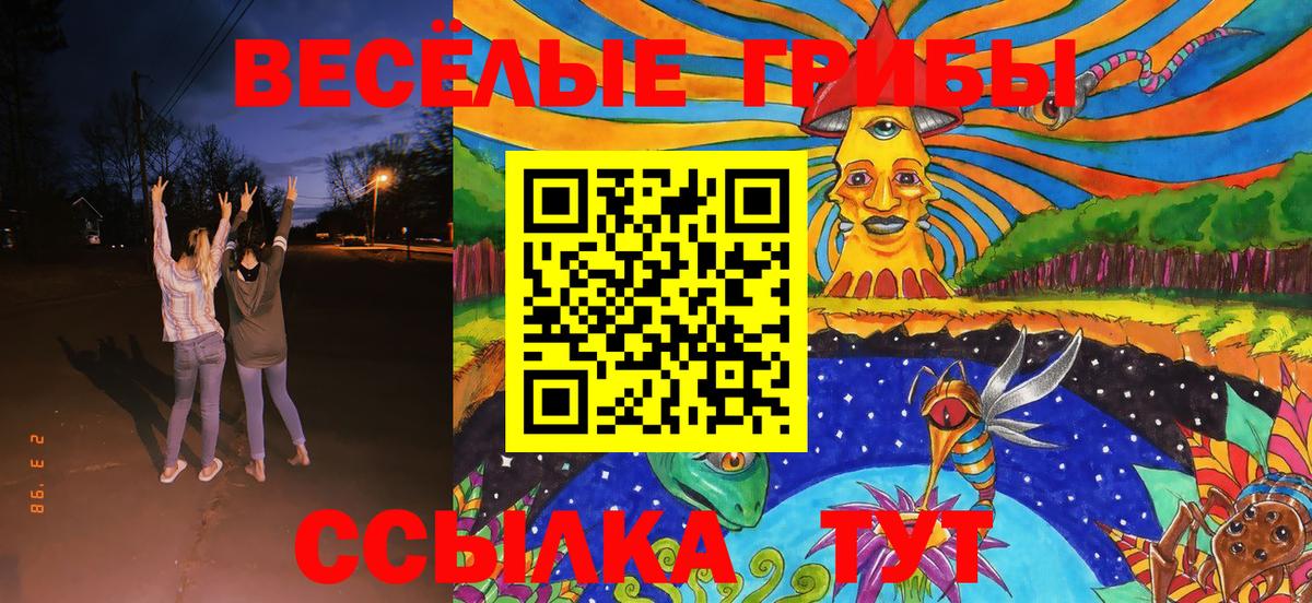 Киржач  Галлюциногенные грибы GOLDEN TEACHER  Вход с VPN  Галлюциногенные грибы Magic Shrooms 
